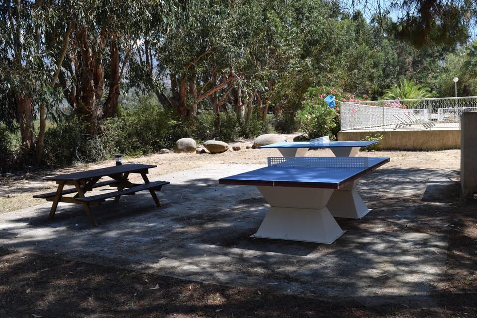 Table tennis