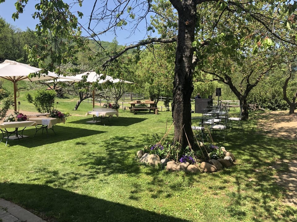 Spring, Garden, Garden view