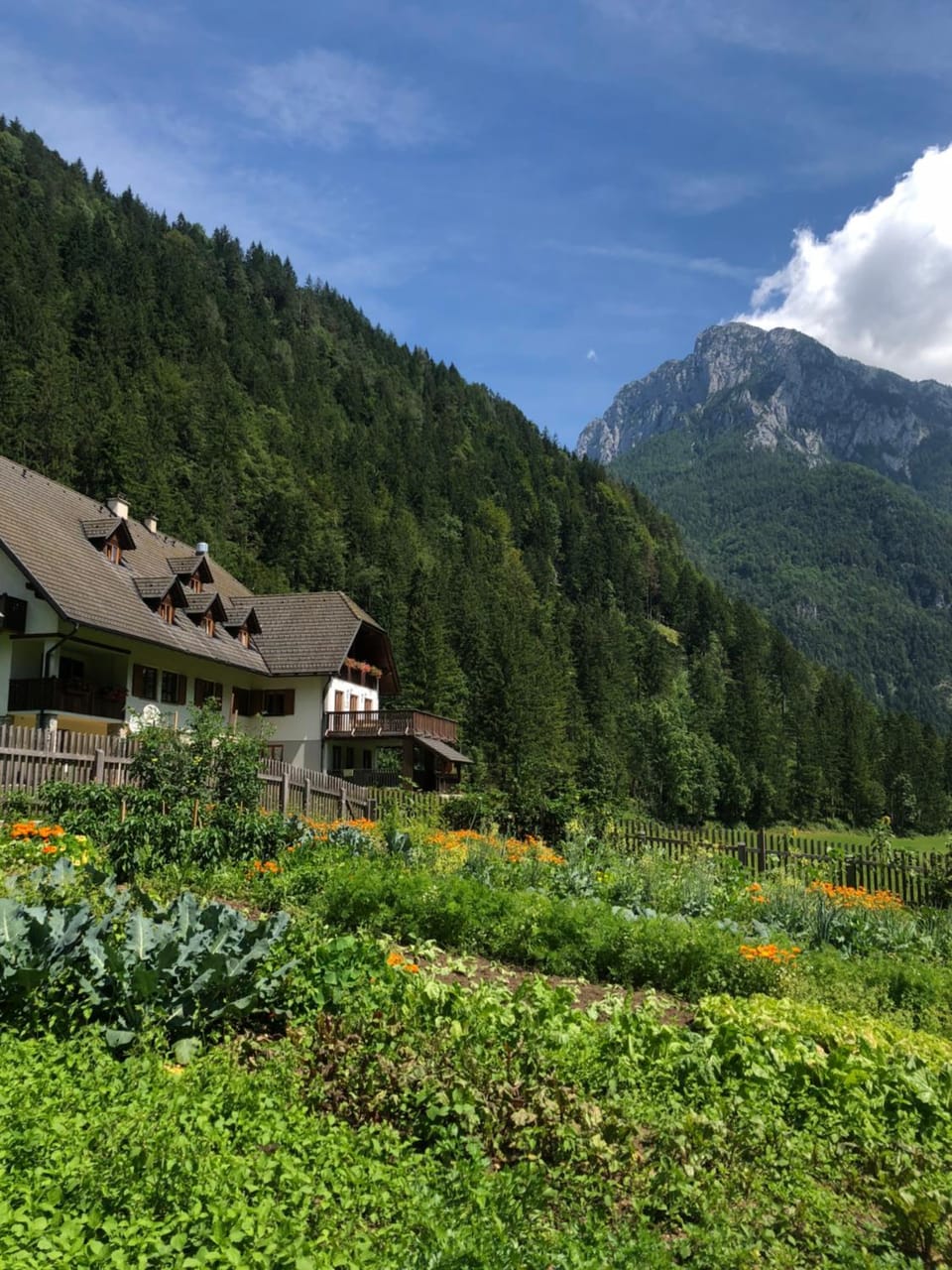 Govc-Vršnik Farm Stay in Carinthia, Austria