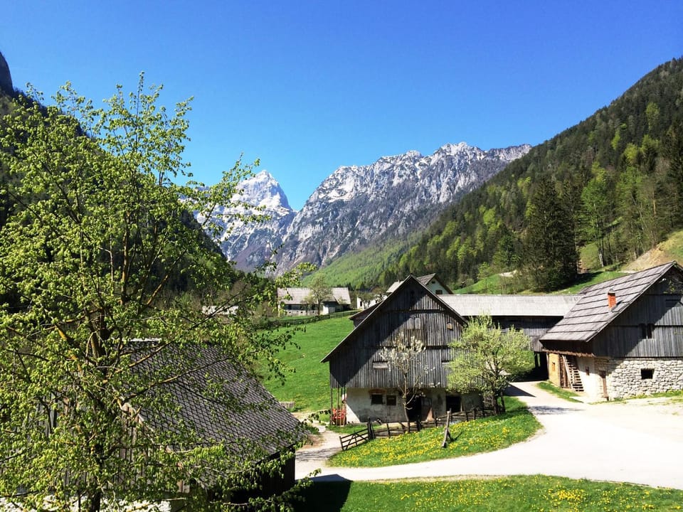 Summer, Mountain view