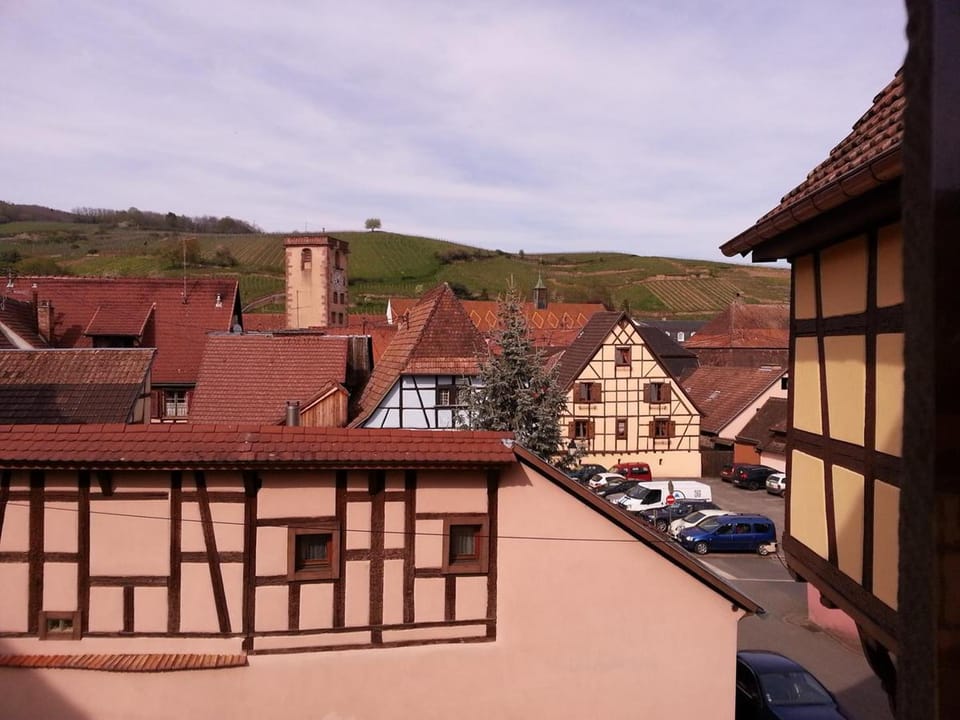 View (from property/room), Street view