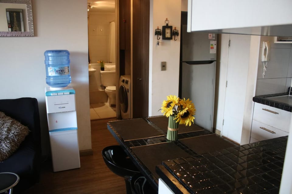 Propiedades Gazitua Apartment in Santiago