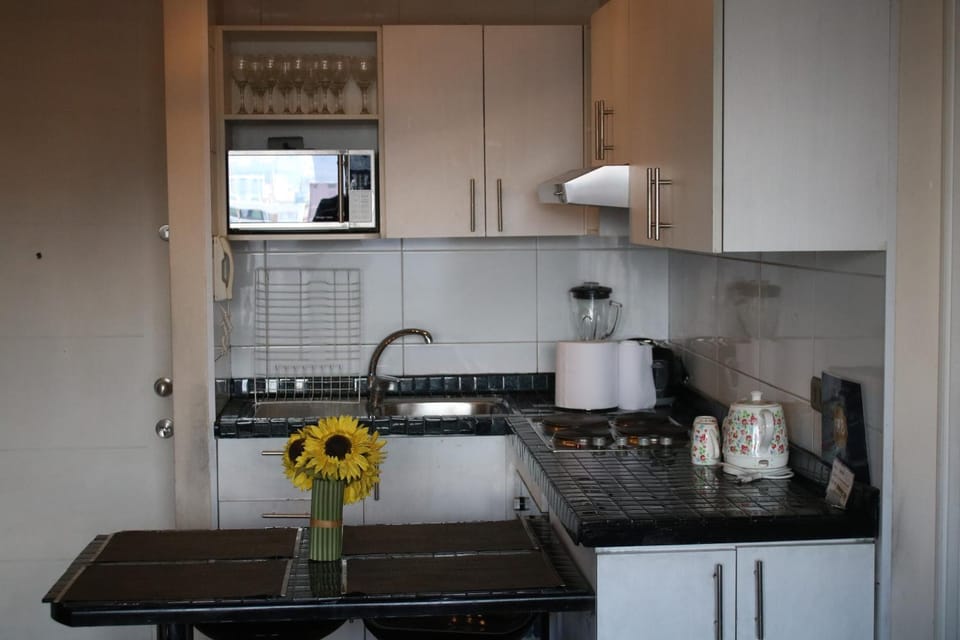 Propiedades Gazitua Apartment in Santiago