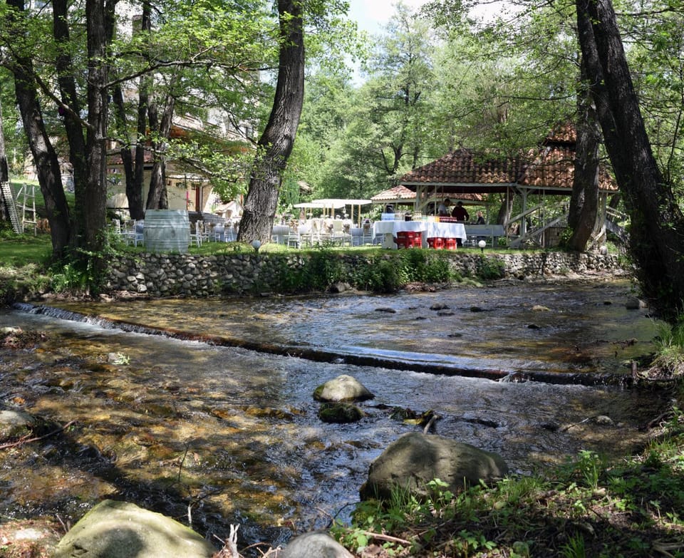 Patio, Fishing, Garden