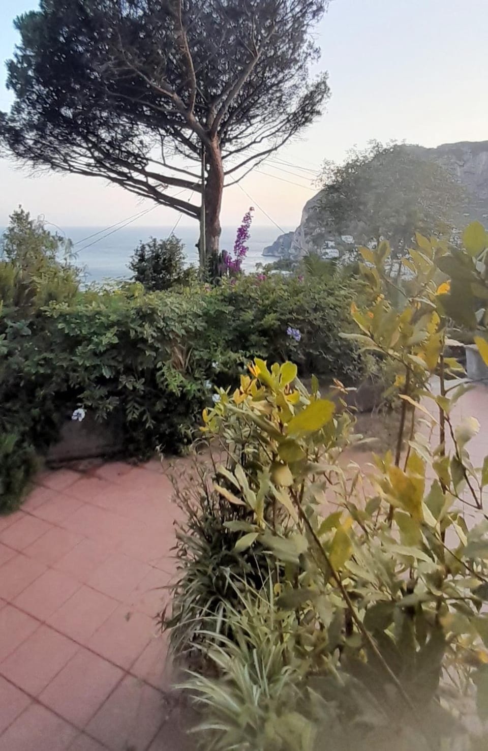 Sea view
