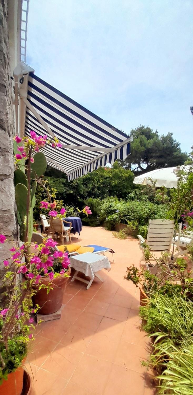 Garden view