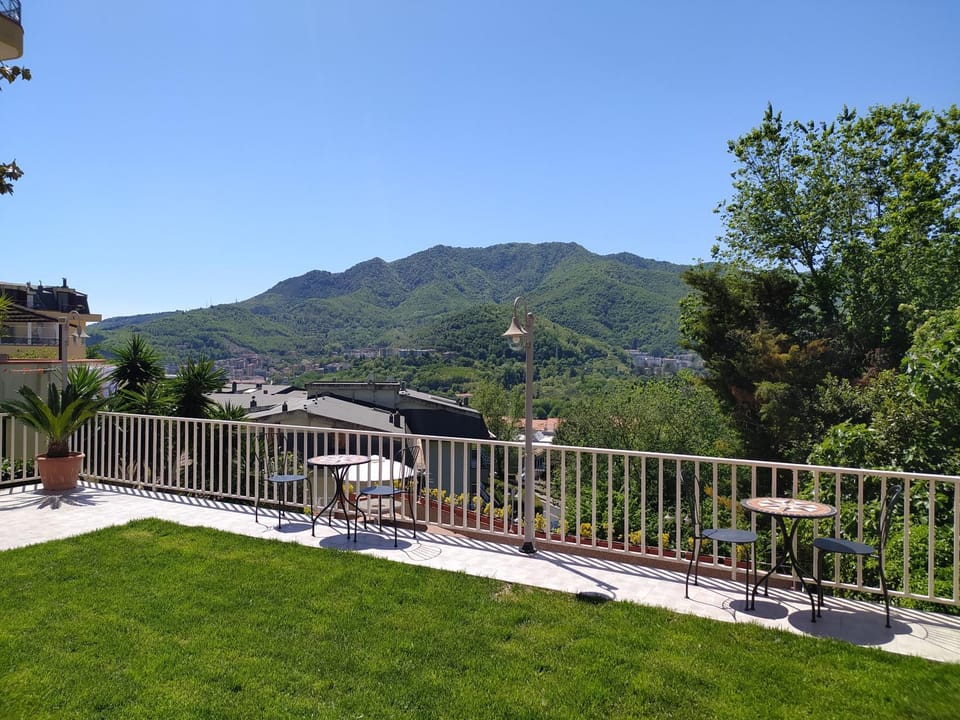 Spring, Mountain view