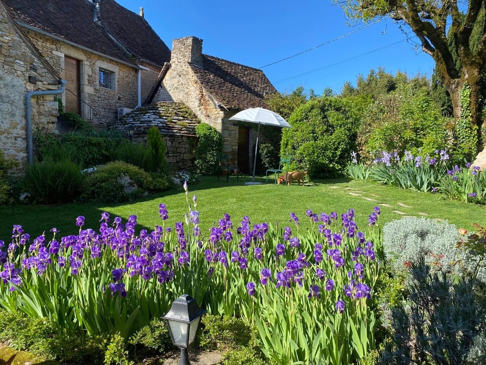 Property building, Garden, Inner courtyard view