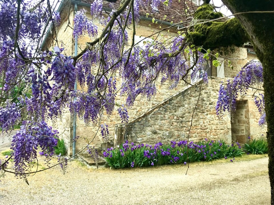 Garden view, Parking