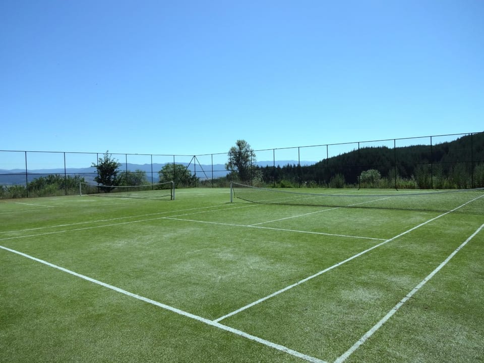 Tennis court