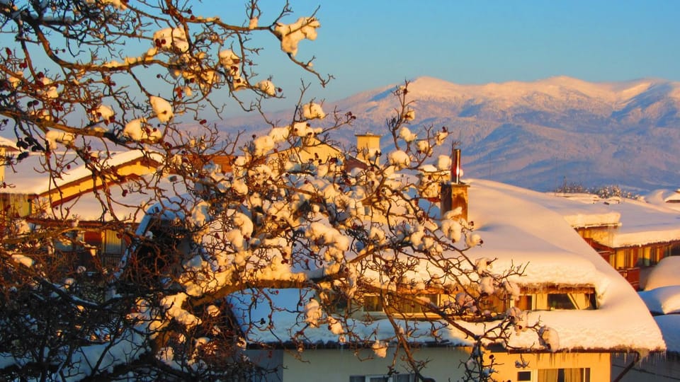 View (from property/room), Area and facilities