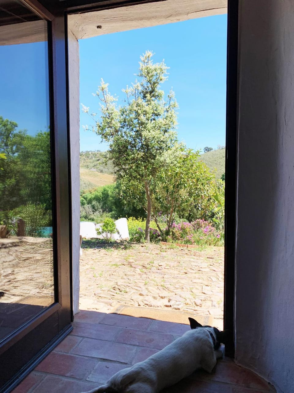 Garden view