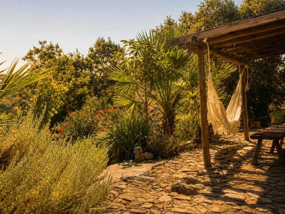 Patio, Garden