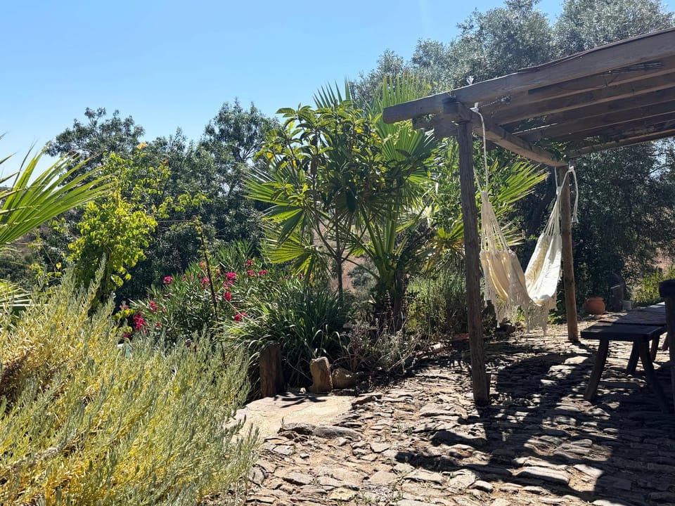 Off site, Garden