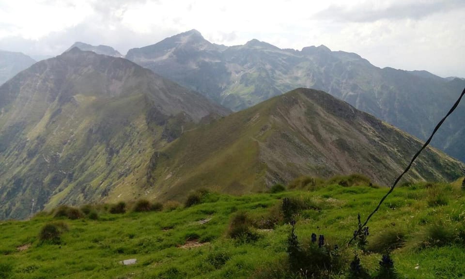 Mountain view