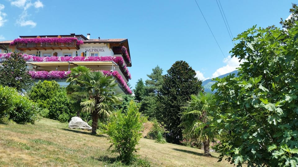 Property building, Garden