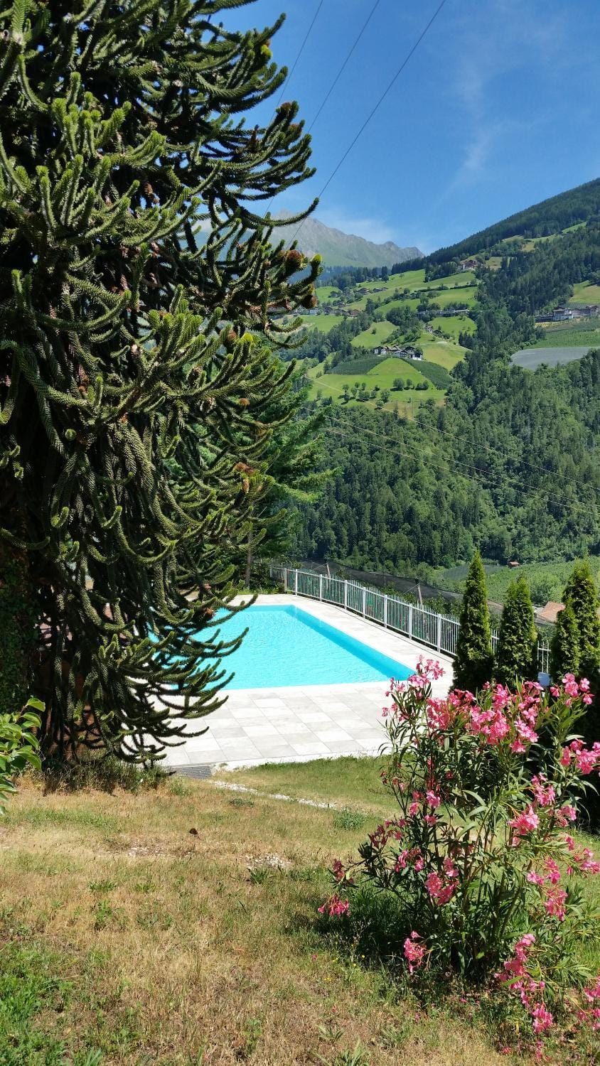 Garden, Pool view, Swimming pool