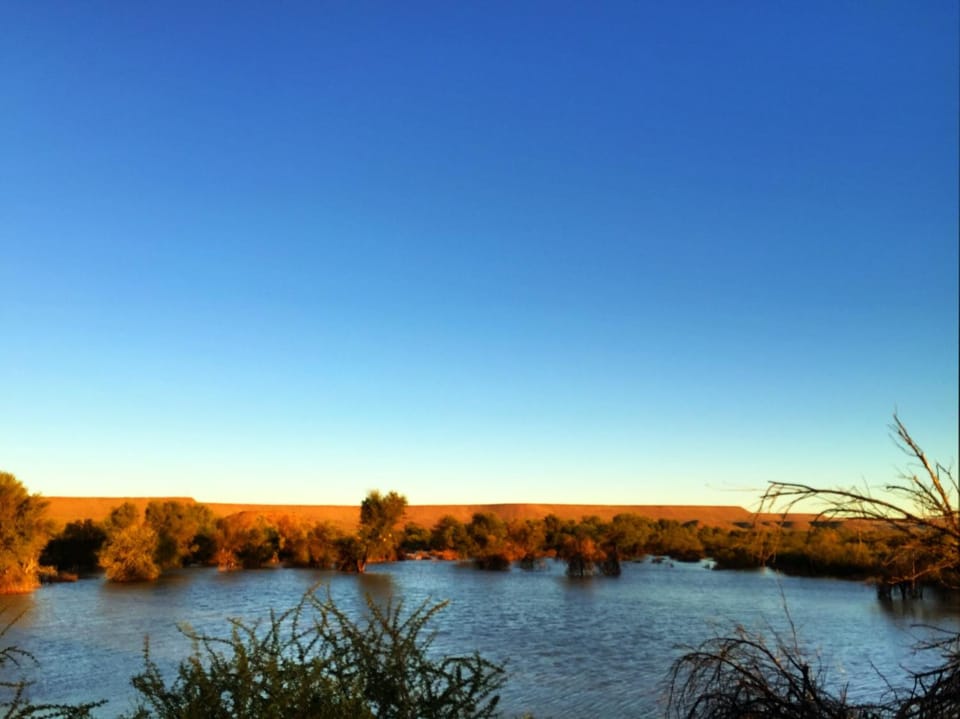 Natural landscape, River view