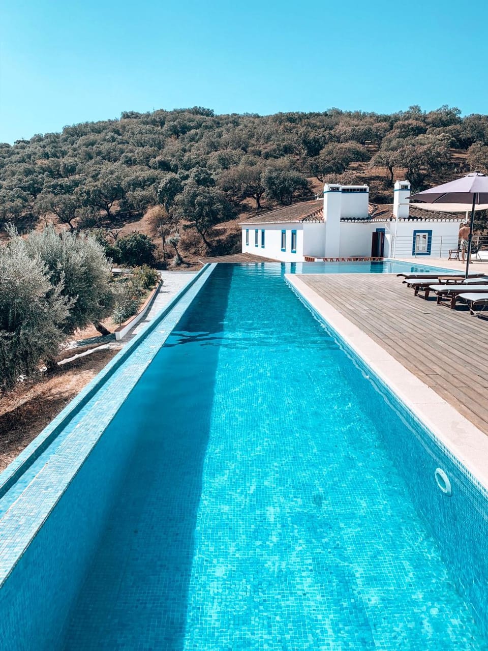 Property building, Natural landscape, Swimming pool, sunbed