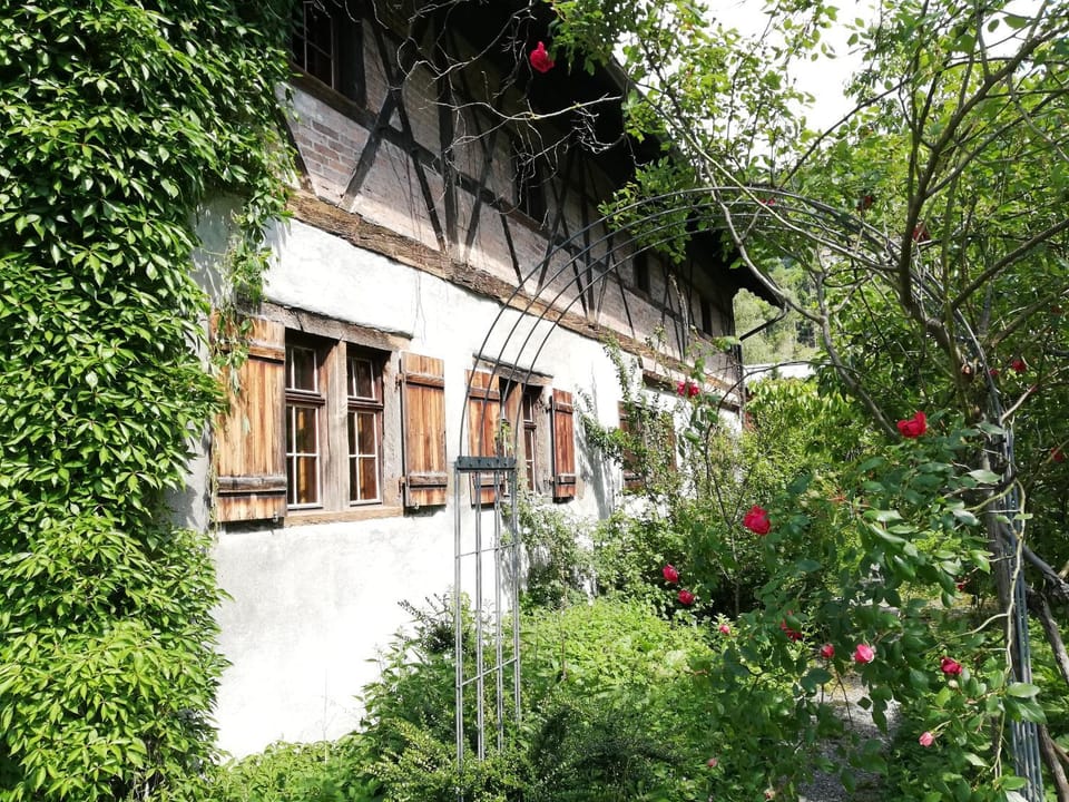 Garden, Garden view