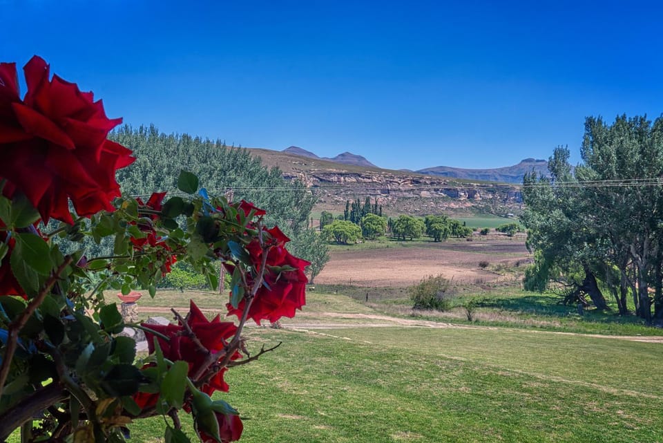View (from property/room), Garden view, Mountain view