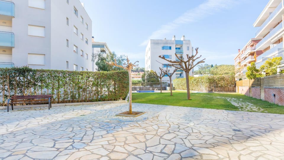 Patio, Garden, Garden view