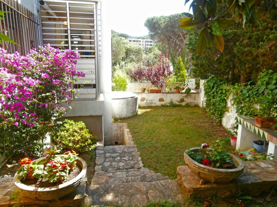 Patio, Garden, Garden view