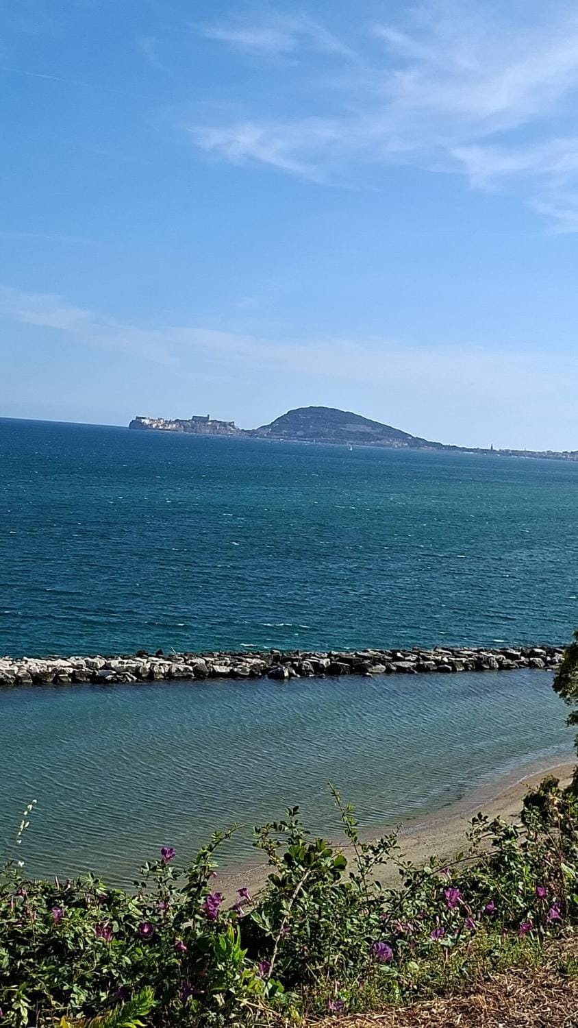 Casa Vacanze Torre di Mola House in Formia