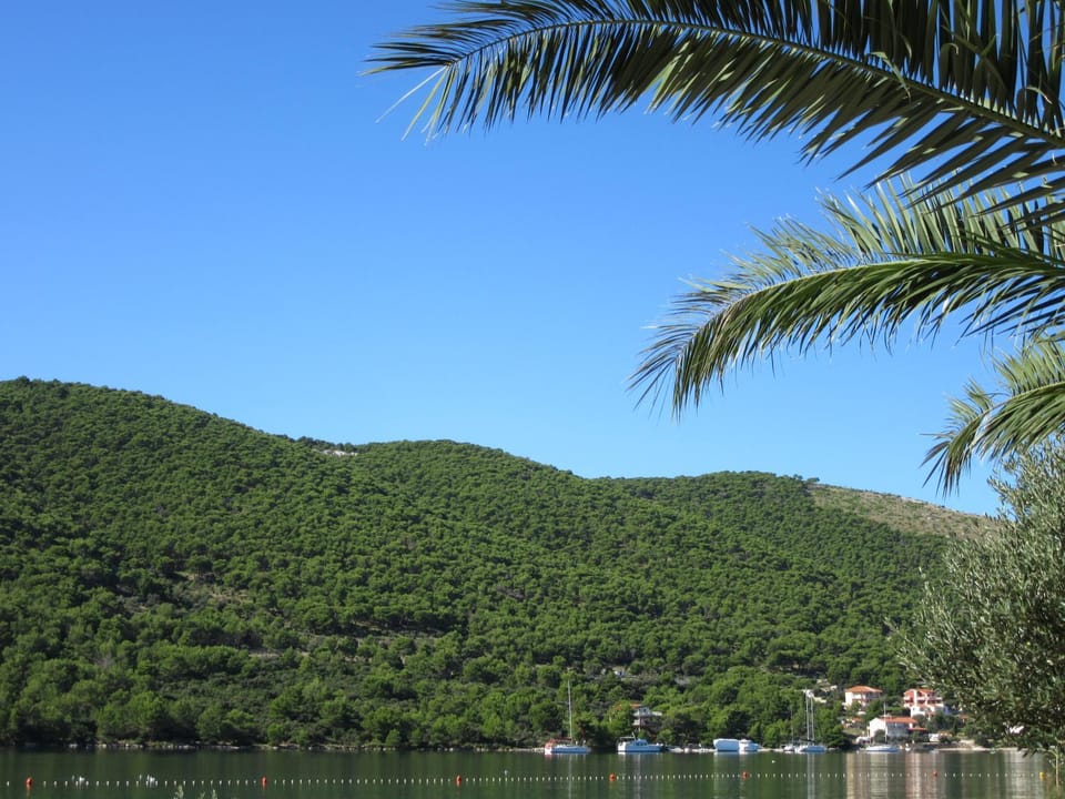 Apartmani Jasminka Apartment in Šibenik-Knin County, Croatia