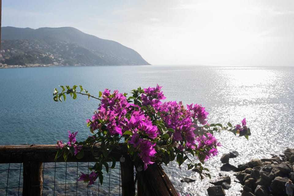 Day, Balcony/Terrace, Sea view