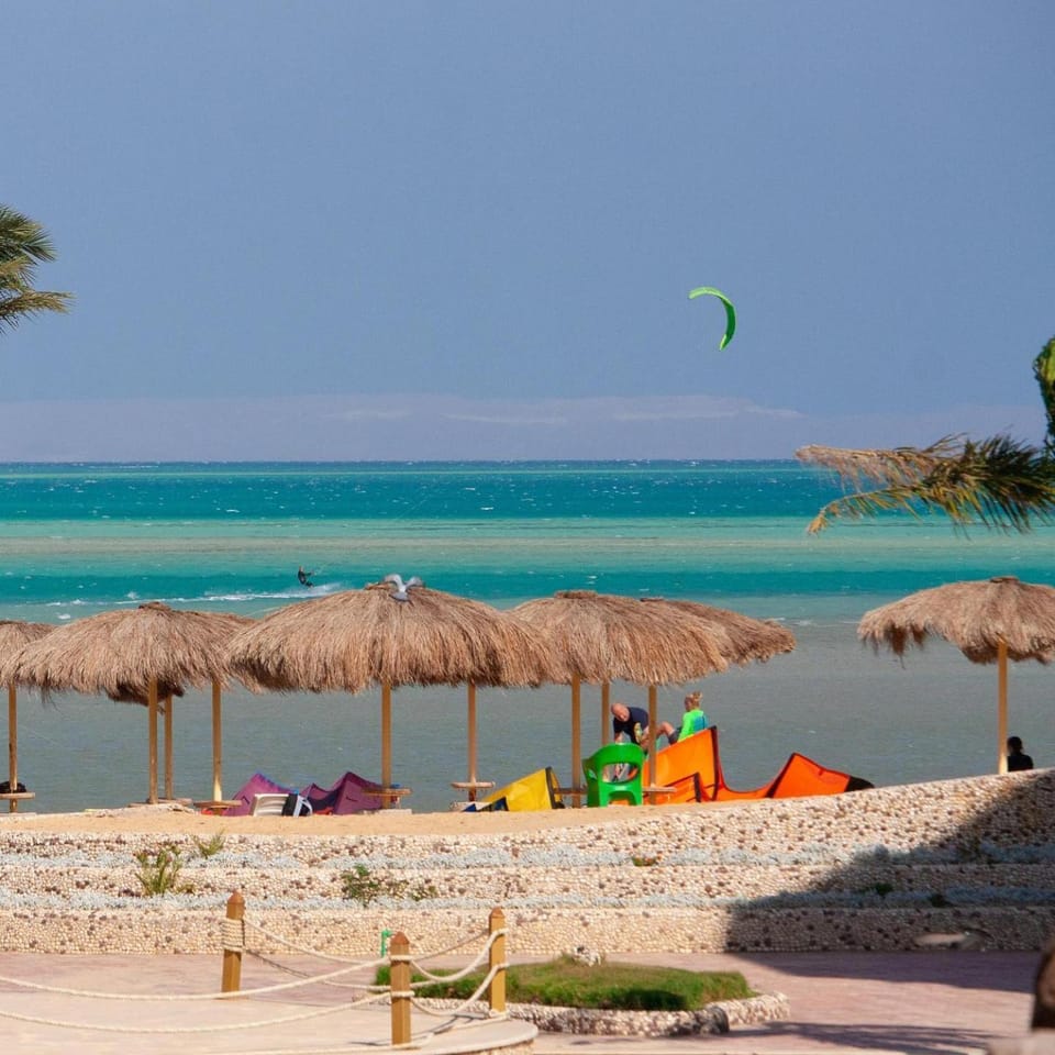 Day, People, Beach, Windsurfing, Sea view, group of guests