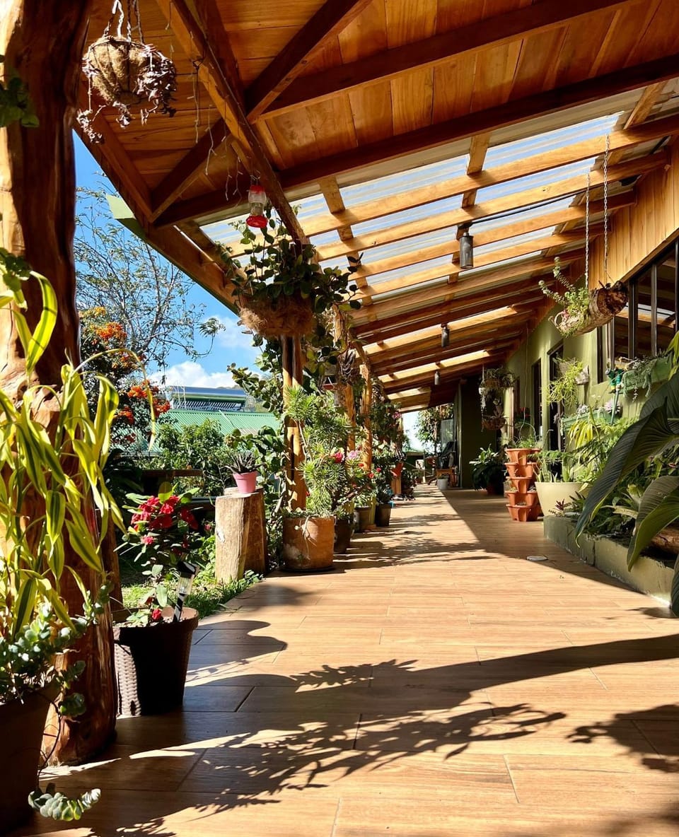 Garden view