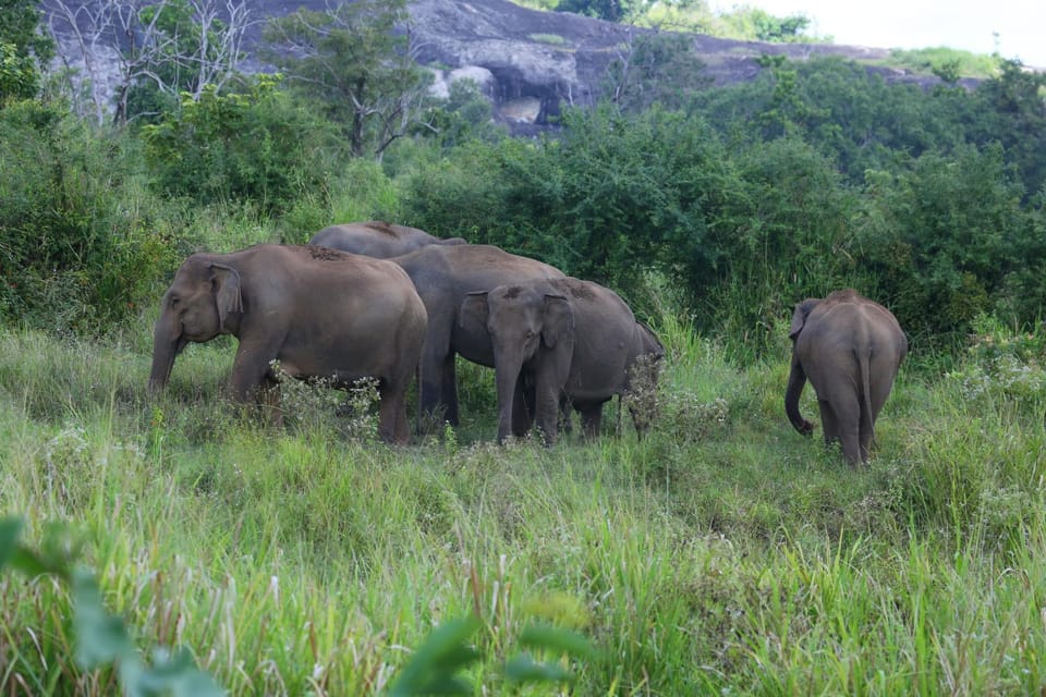 Blue Lake Ridge Bed and Breakfast in Uva Province, Sri Lanka