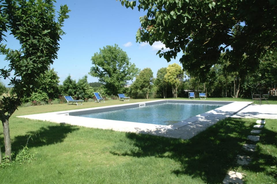 Summer, Garden, Swimming pool