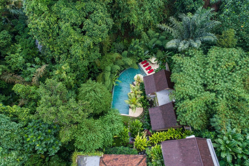 Natural landscape, Bird's eye view, Garden view, Swimming pool