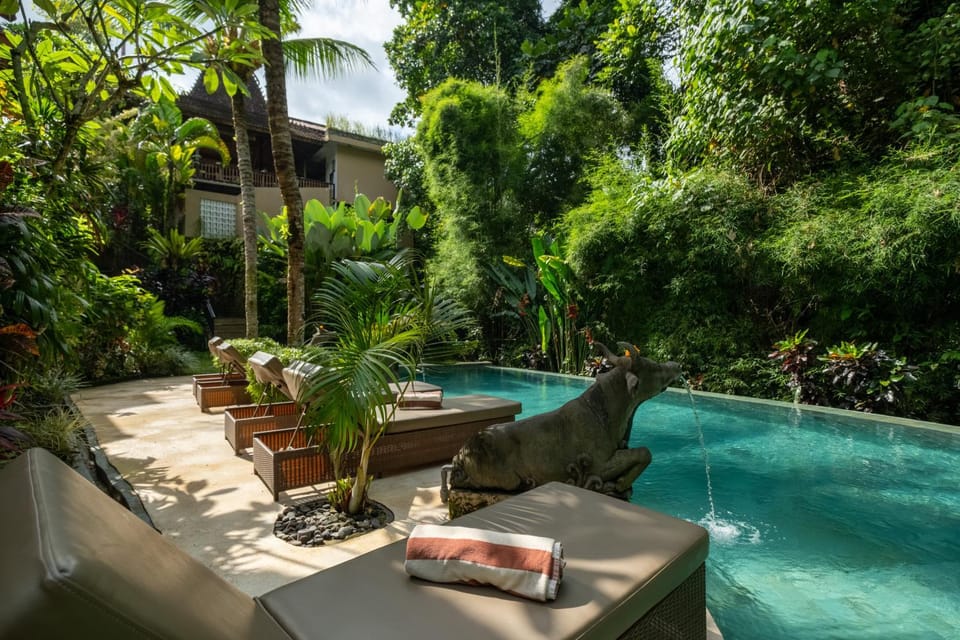 Spring, Natural landscape, Garden, Garden view, Pool view, Swimming pool, sunbed