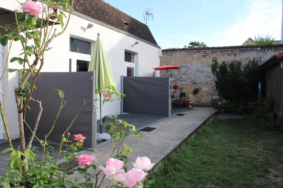Patio, Garden