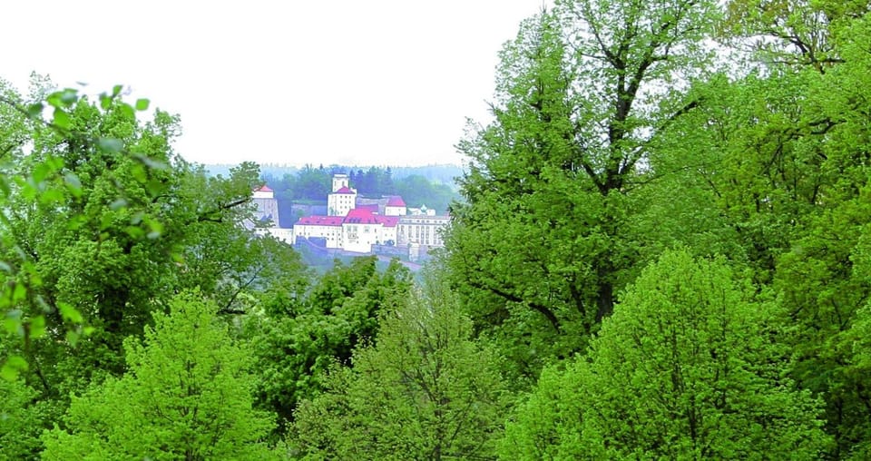 View (from property/room)