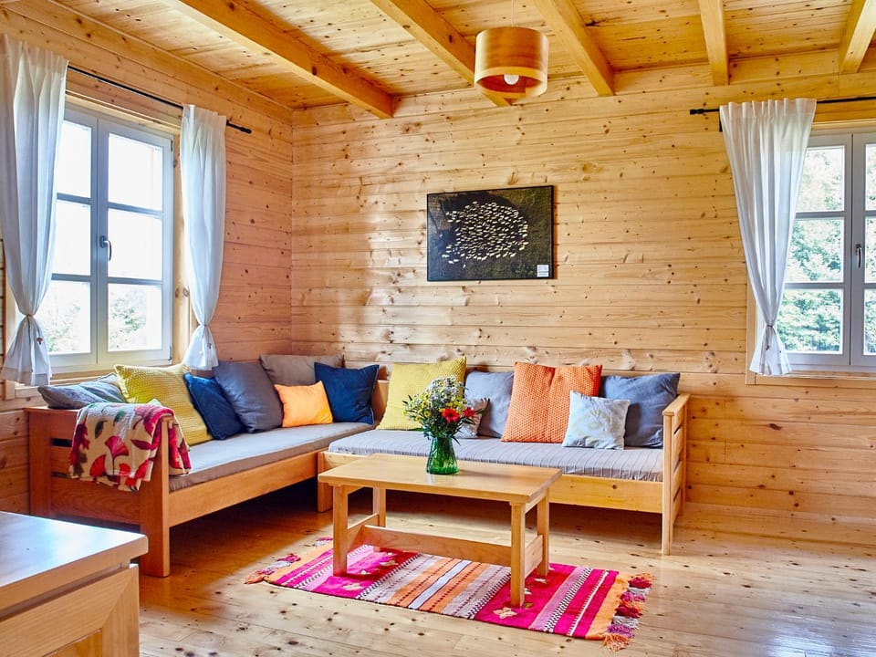 Day, Summer, TV and multimedia, Living room, Seating area, On site