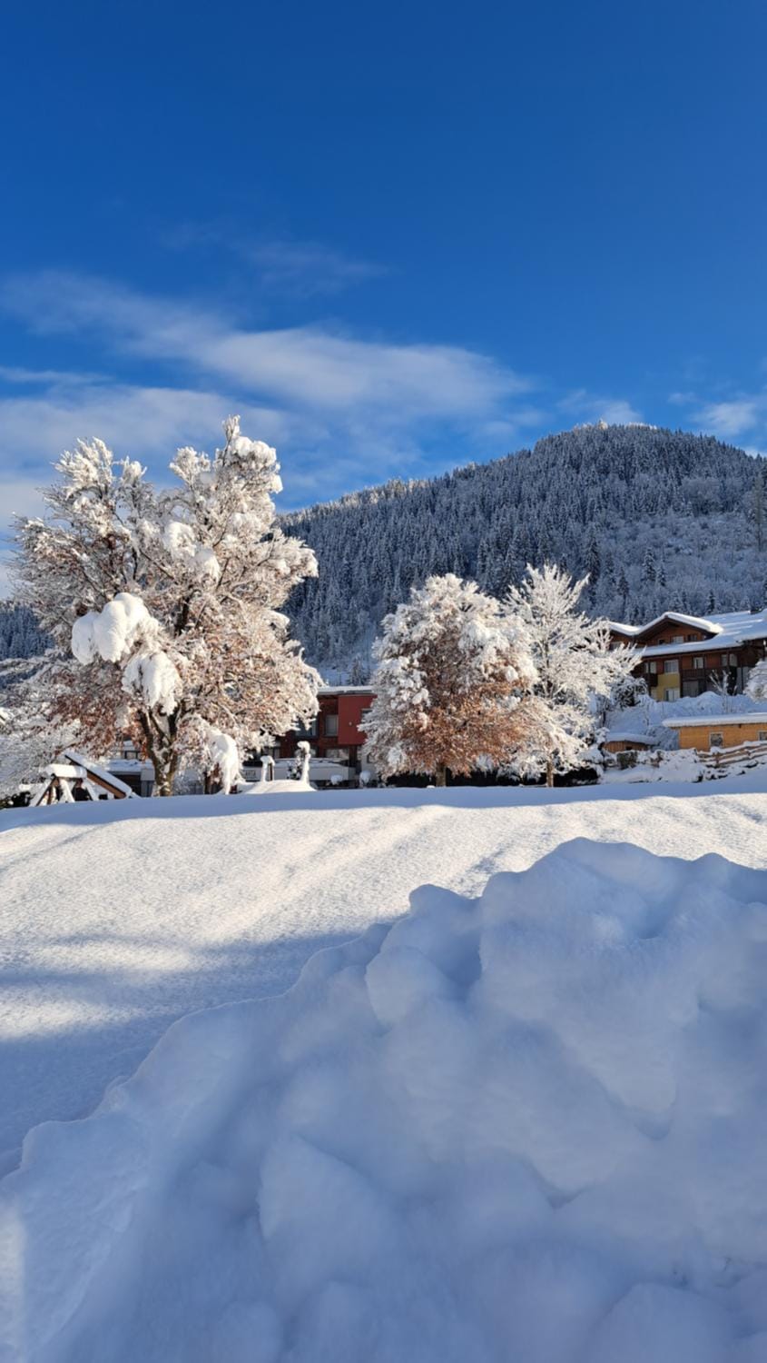 Phantasia Apartment in Salzburgerland