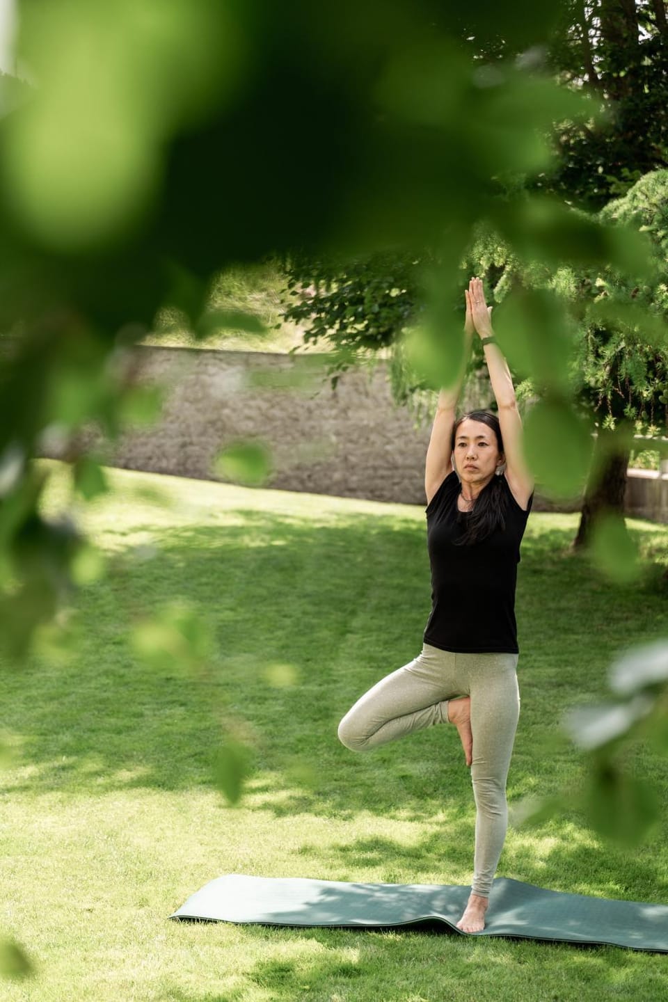 Activities, Garden, Guests