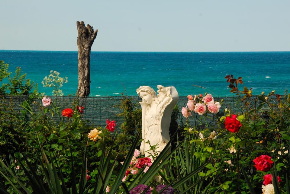 Natural landscape, Decorative detail, Sea view