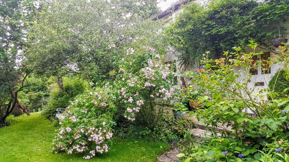 Facade/entrance, Garden, Garden view