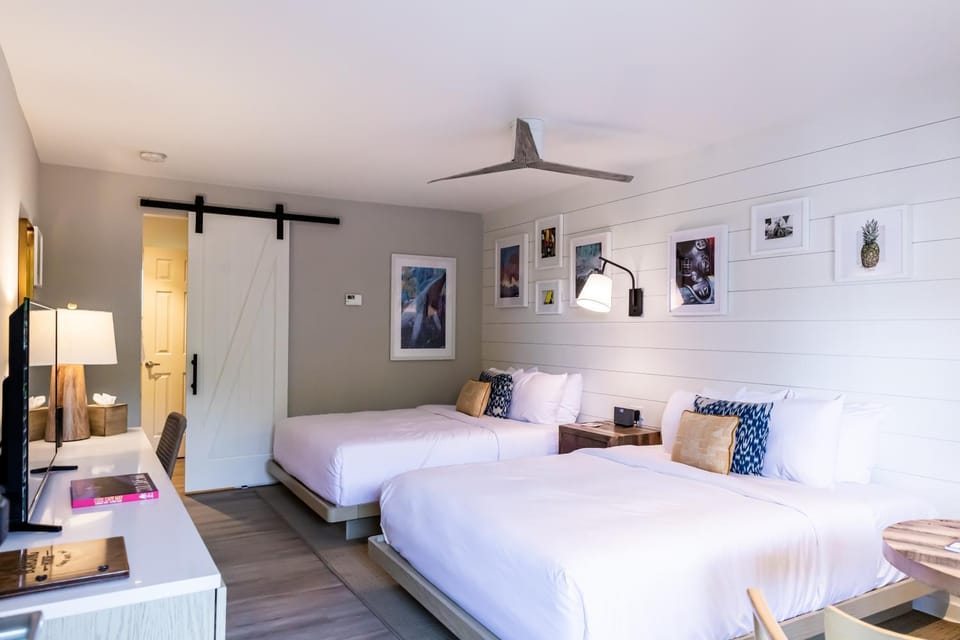 Bed, Photo of the whole room