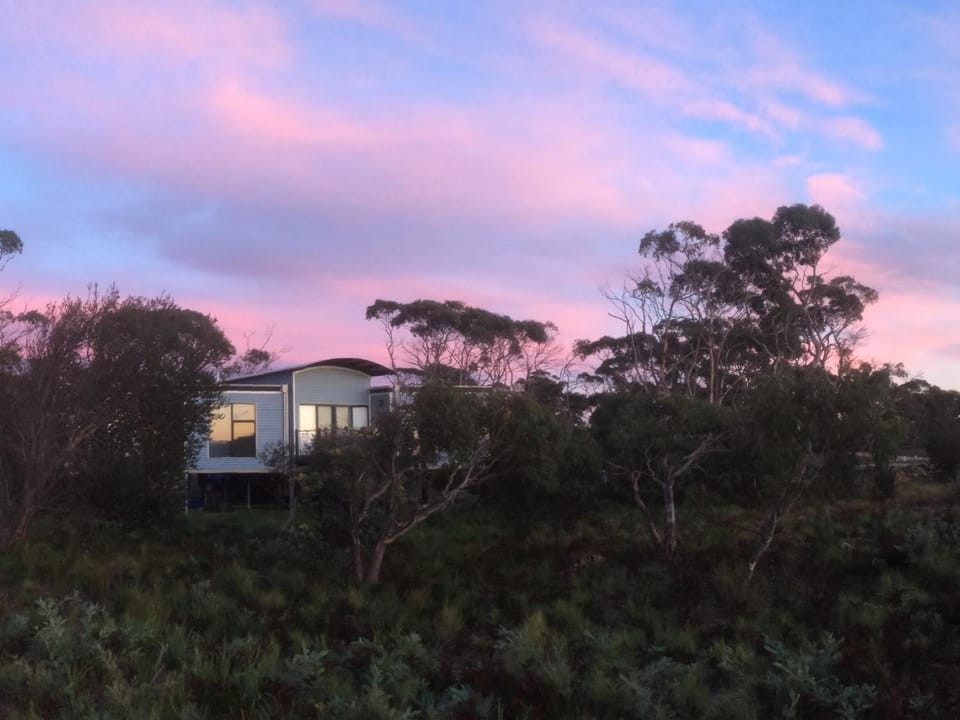 Garden, Garden view, Sunrise