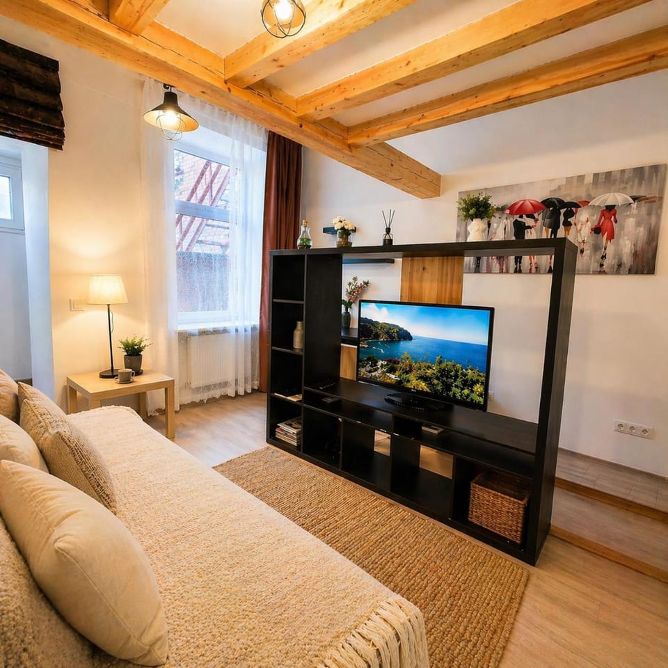 Giedrės Cozy Loft Old Town Bright Studio Apartment in Lithuania