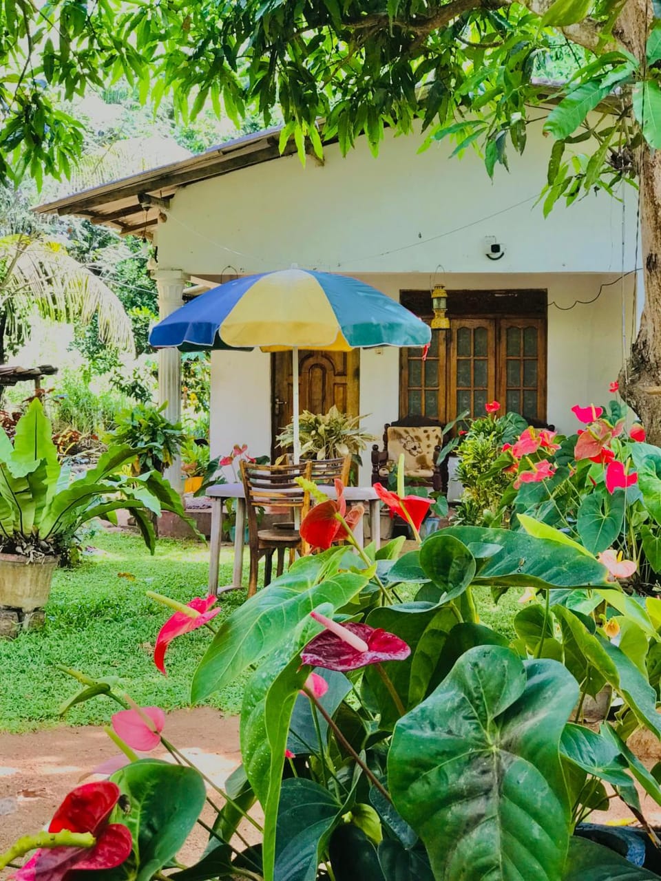 Garden, Garden view