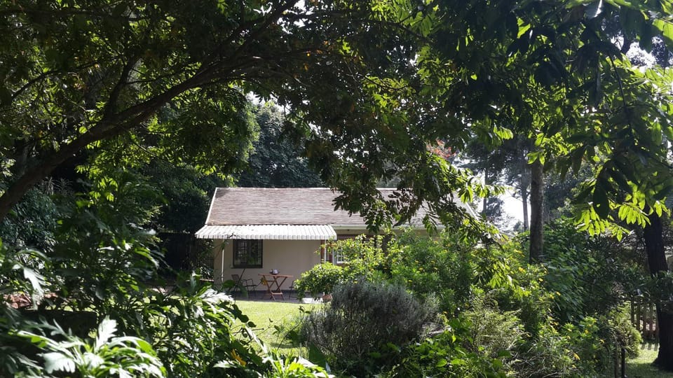 14onChapel Apartment in KwaZulu-Natal