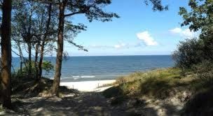 Day, Natural landscape