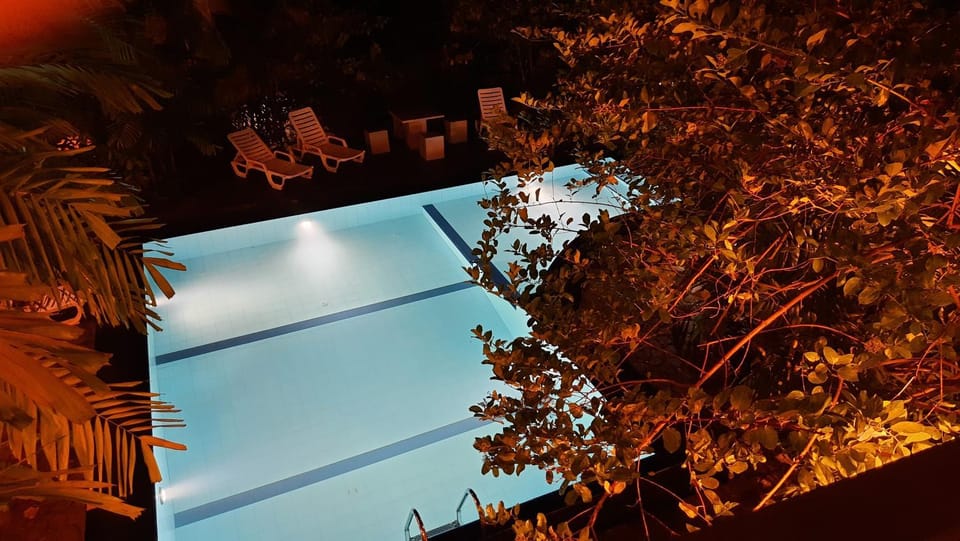 Night, Garden, Garden view, Pool view, Swimming pool